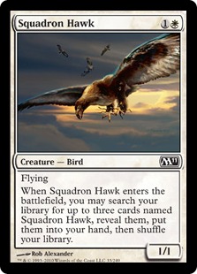 squadronhawk